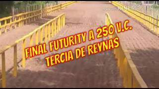 La Texana Vs La Valentina Vs La Felina