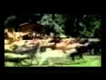 Download Jab ham jawa MP3 song and Music Video