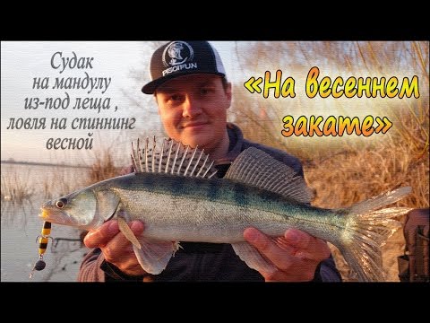 мандула спиннинг мандула спиннинг