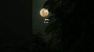 Kaadhal Thavira Unnidam Solla Edhuvum Illai.........