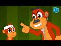 monkey