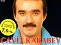 Cavit Karabey- Sevdigim Kiz Gelin Olmus klip izle