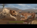 Wild animal online new game Gameplay