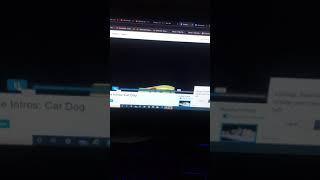 Homemade Intros Catdog
