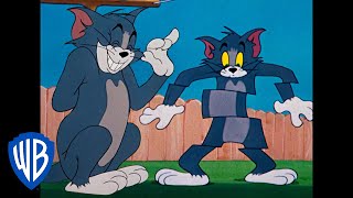 Tom & Jerry Em Português Brasil Desenho Animado Clássico 114 Wb Kids