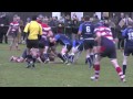 Todd Gleave Rugby CV