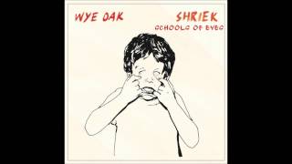 Watch Wye Oak Schools Of Eyes video