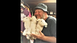 Funky Werepig- Ep 9 Sun, Soul, and Sheep!