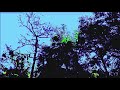 Ashton Traitor ~ nobody 2 blame (prod tothegood)
