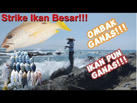 Ombak Ganas, Ikan Pun Ganas Makan Umpan | Fishing during Big Waves, Fish are Hungry Ombak Ganas, Ikan Pun Ganas Makan Umpan | Fishing during Big Waves, Fish are Hungry
