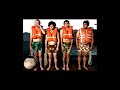 The Shins - Mieke (Flake cover)