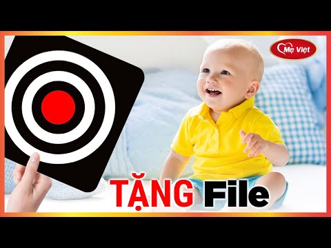 Hình ảnh kích thích thị giác cho trẻ sơ sinh - Phương Pháp GLENN DOMAN - Flashcard ĐỎ ĐEN TRẮNG