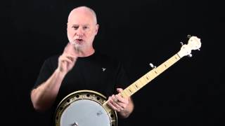 Goodtime Two Banjo by Deering