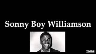 Watch Sonny Boy Williamson Whiskey Headed Blues video