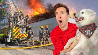 Firefighters Cant Save My Dog