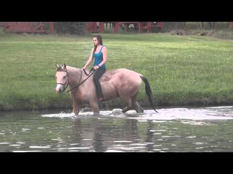 Riding Horses Bareback In A Pond