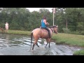 Riding Horses Bareback In A Pond