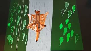 Lamour Cest Comme Être Un Écureuil Volant On Plane Littéralement