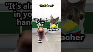 Cat Memes Random Superpower ...