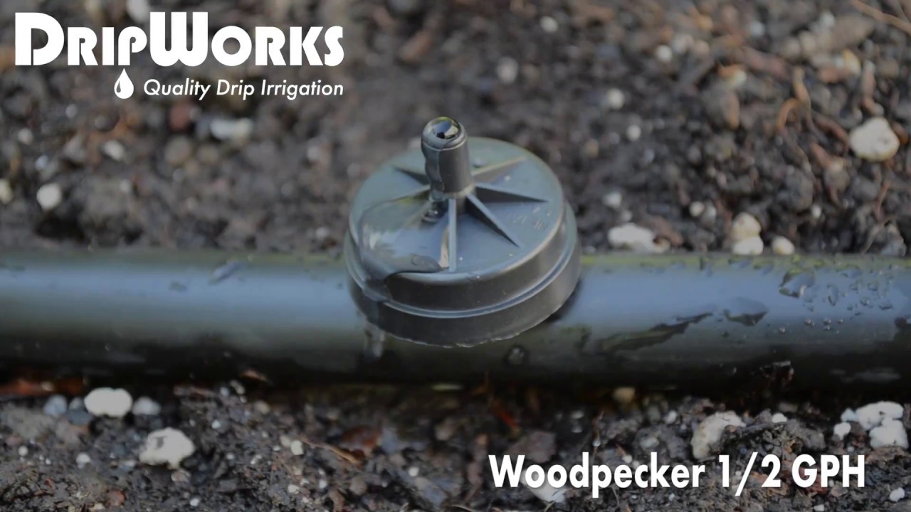 Woodpecker Emitters - Product in Action