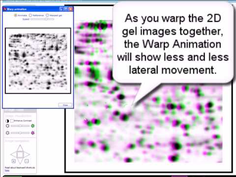 Pay For Dissertation Biotechnology