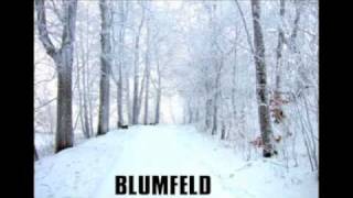 Watch Blumfeld Schnee video