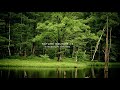 Nature Sound 16 - THE MOST RELAXING SOUNDS -