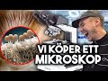 ÄCKLIGA SAKER UNDER MIKROSKOP