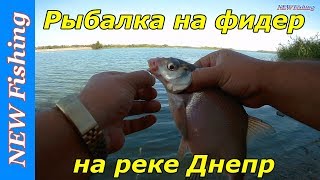 Рыбалка на фидер на реке Днепр