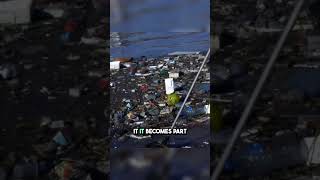 How Your Neighborhood Pollution Is Destroying The Planet