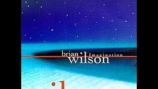 Watch Brian Wilson Keep An Eye On Summer video