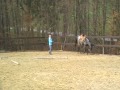 Huntin blue things
