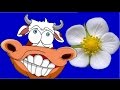 LA VACA Y LA FLOR - canciones infantiles