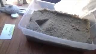 The Truth About Orgonite PT3: Easy Way to Make A Mold for Orgonite Distributors