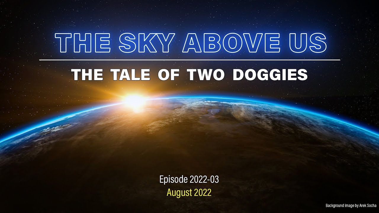 TSAU 2022 03 The Tale of Two Doggies