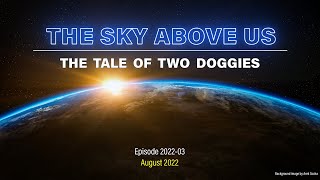 TSAU 2022 03 The Tale of Two Doggies