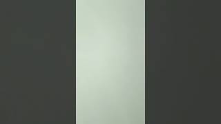 Indian Mouse Be Like