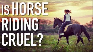 Is Horse Riding Cruel? Is It Vegan?