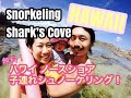 Snorkelling at Shark's Cove Oahu with our daughter - ハワイ・オアフ島ノースショアで子連れシュノーケル!【シャークスコーブ】