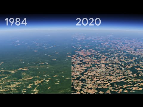 Our Forests | Timelapse in Google Earth