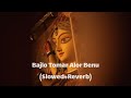 Bajlo Tomar Alor Benu || DEBOLINA || Slowed and Reverb