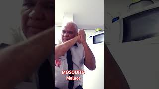 Almost Killed Atalented Mosquito
