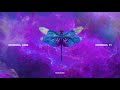 Domnul Udo - Namaste feat. NANE (Audio)