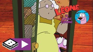 Leone Il Cane Fifone Un Fidanzato Per Marilù Boomerang