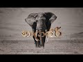 නාලාගිරි - short film By Duthika gayashan