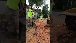 Big Stump, Huge Mess Part 1