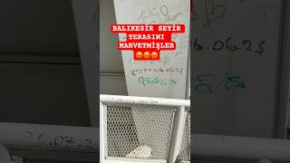 Balikesi̇r Seyi̇r Terasini Mahvetmi̇şler