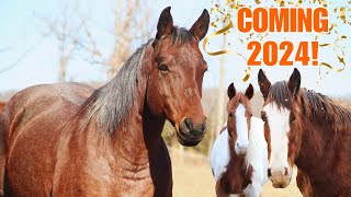 New Auction Horse Name Reveal And Huge Announcement!!!