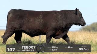 LOTE 147 - TOUROS ANGUS - LEILÃO SÃO BIBIANO 2021