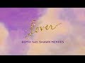 Taylor Swift - Lover Remix Feat. Shawn Mendes (Lyric Video)